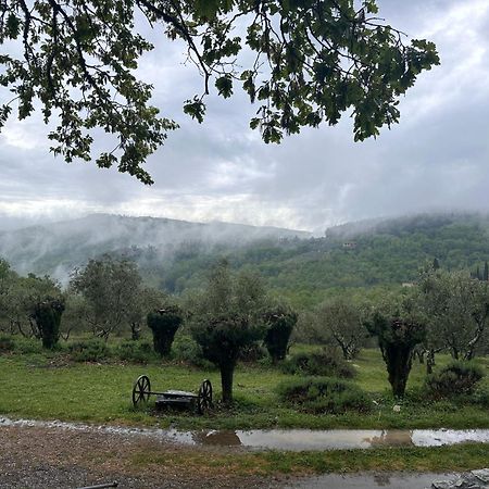 Podere Sagna Castellina in Chianti Εξωτερικό φωτογραφία