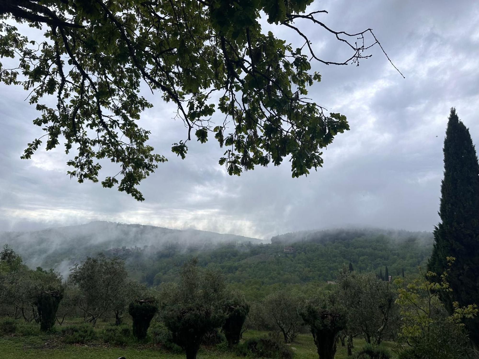 Podere Sagna Castellina in Chianti Εξωτερικό φωτογραφία