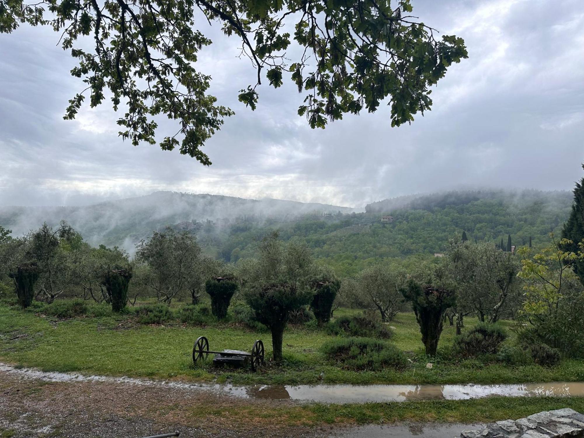 Podere Sagna Castellina in Chianti Εξωτερικό φωτογραφία