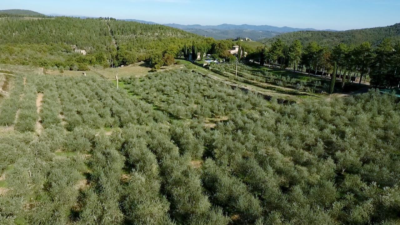 Podere Sagna Castellina in Chianti Εξωτερικό φωτογραφία
